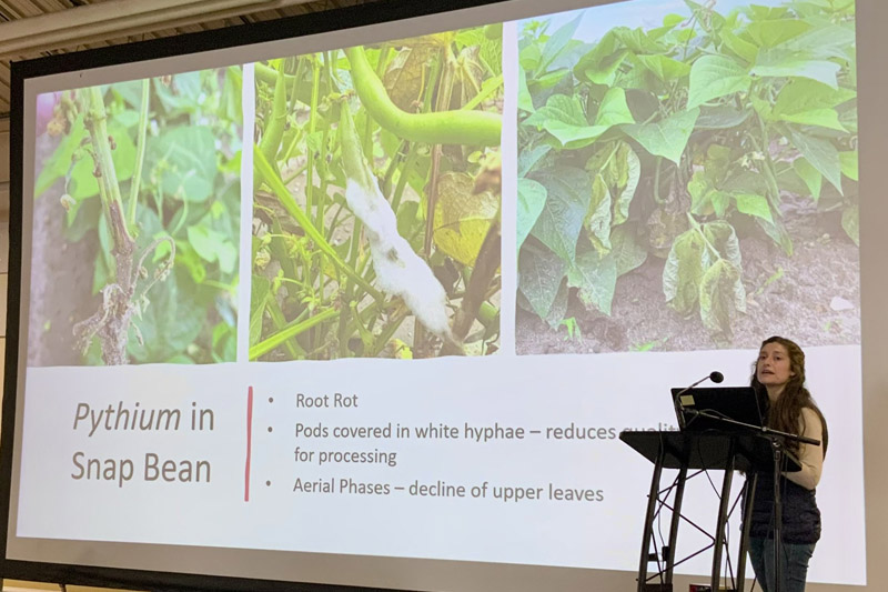 Alyssa Betts, UD extension plant pathologist, provided several talks on disease management and emerging threats. Alyssa Betts, UD extension plant pathologist, provided several talks on disease management and emerging threats.