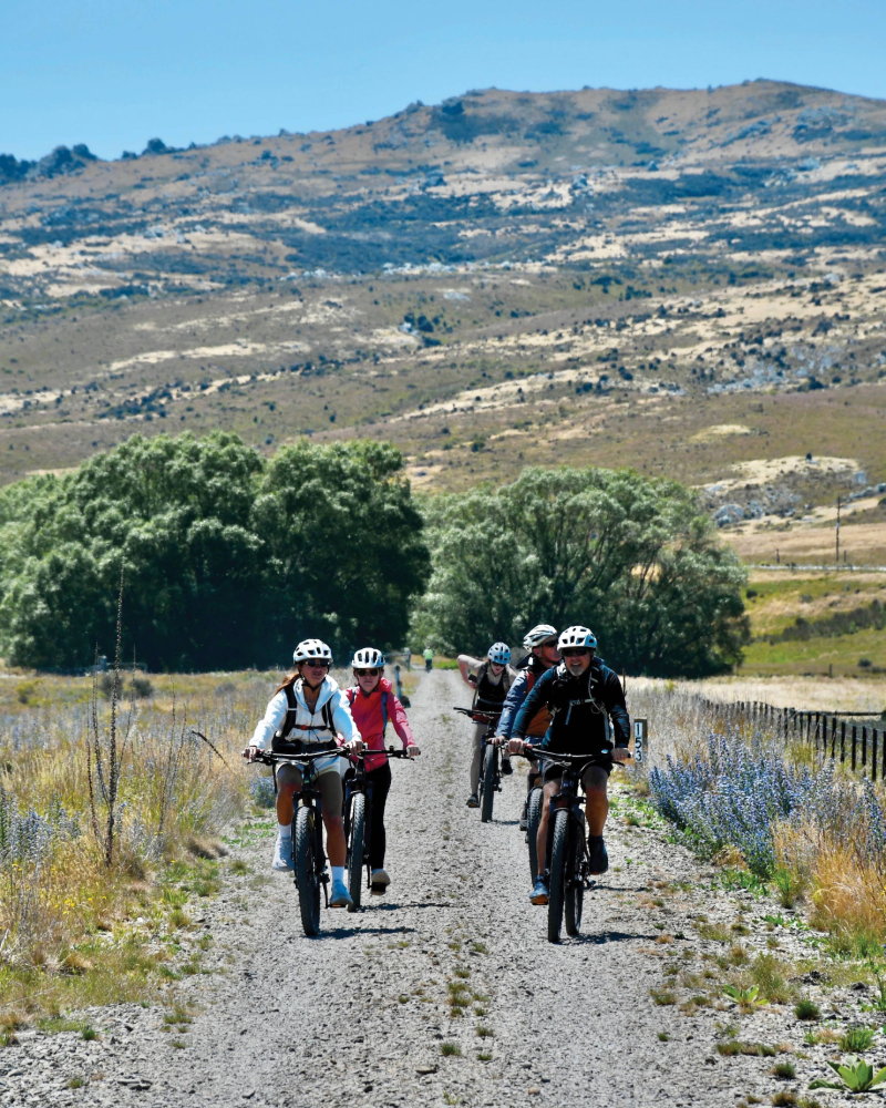 During the New Zealand KAAP study abroad program in Winter 2025, Blue Hens learned about the relationships among physical activity, exercise, health, and disease on the other side of the globe. Winner Sarah Nerhood’s photo featured classmates biking alongside faculty co-director Todd Royer on the Otago Central Rail Trail after learning about the biomechanics of riding a bike. During the New Zealand KAAP study abroad program in Winter 2025, Blue Hens learned about the relationships among physical activity, exercise, health, and disease on the other side of the globe. Winner Sarah Nerhood’s photo featured classmates biking alongside faculty co-director Todd Royer on the Otago Central Rail Trail after learning about the biomechanics of riding a bike.