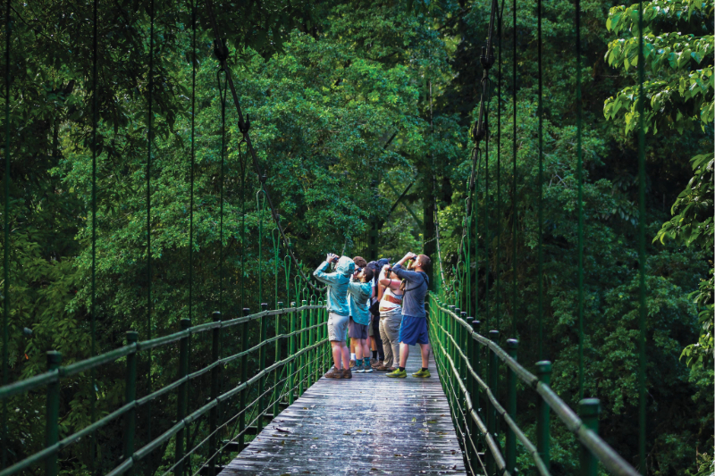 In her winning photo, “The Bridge to Bird Paradise,” entomology and wildlife ecology and conservation double major Grace Ferry and her classmates are seen trying to identify a keel-billed toucan on the ENWC Costa Rica program led by Kyle McCarthy in Winter 2025. In her winning photo, “The Bridge to Bird Paradise,” entomology and wildlife ecology and conservation double major Grace Ferry and her classmates are seen trying to identify a keel-billed toucan on the ENWC Costa Rica program led by Kyle McCarthy in Winter 2025.