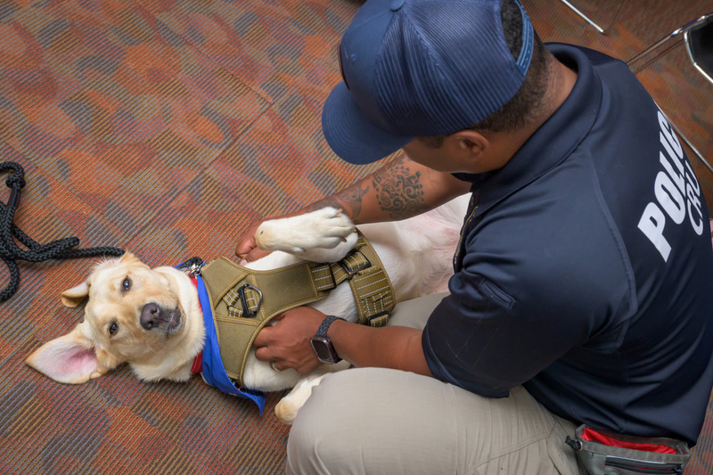 “A dog like Patti is incredibly disarming,” Corporal Jamel Howard said. “People tend to be more comfortable recounting the traumatic events they experienced or witnessed if a dog like Patti is present to calm them down.” “A dog like Patti is incredibly disarming,” Corporal Jamel Howard said. “People tend to be more comfortable recounting the traumatic events they experienced or witnessed if a dog like Patti is present to calm them down.”