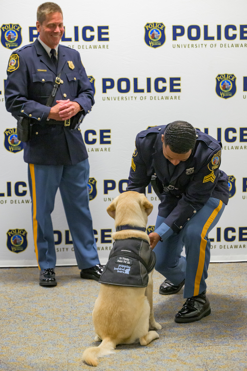 Corporal Jamel Howard (kneeling) presents a UD Police badge to Patti, the department’s facility dog, during UDPD’s annual awards ceremony. At left, Chief Patrick Ogden oversees the ceremony. Corporal Jamel Howard (kneeling) presents a UD Police badge to Patti, the department’s facility dog, during UDPD’s annual awards ceremony. At left, Chief Patrick Ogden oversees the ceremony.