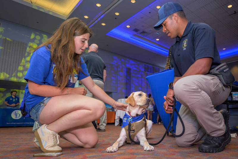 Patti, a 17-month-old yellow labrador, is the University of Delaware Police Department's newest member and first facility dog. In her official UDPD duties, Patti offers mental health and wellness support to the department’s officers and staff. She also provides opportunities to build trust and community through engagement with Blue Hens and the general public, and she is available to UDPD for critical incident response and offering support to victims and witnesses. Patti, a 17-month-old yellow labrador, is the University of Delaware Police Department's newest member and first facility dog. In her official UDPD duties, Patti offers mental health and wellness support to the department’s officers and staff. She also provides opportunities to build trust and community through engagement with Blue Hens and the general public, and she is available to UDPD for critical incident response and offering support to victims and witnesses.