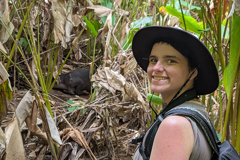 A guide shows UD junior Ang Campanelli a tapir sleeping on the forest floor. Campanelli says her favorite moment from the Costa Rica study abroad program was encountering the tapir and hearing it snore. A guide shows UD junior Ang Campanelli a tapir sleeping on the forest floor. Campanelli says her favorite moment from the Costa Rica study abroad program was encountering the tapir and hearing it snore.
