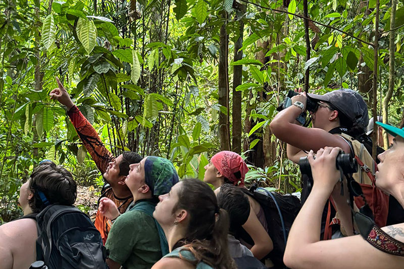 Utilizing bird point counts, students collected field data at seven locations, including Campanario Biological Station on the Osa Peninsula of Costa Rica. At the end of the course, students quantified and compared the biodiversity of the different ecosystems. Utilizing bird point counts, students collected field data at seven locations, including Campanario Biological Station on the Osa Peninsula of Costa Rica. At the end of the course, students quantified and compared the biodiversity of the different ecosystems.