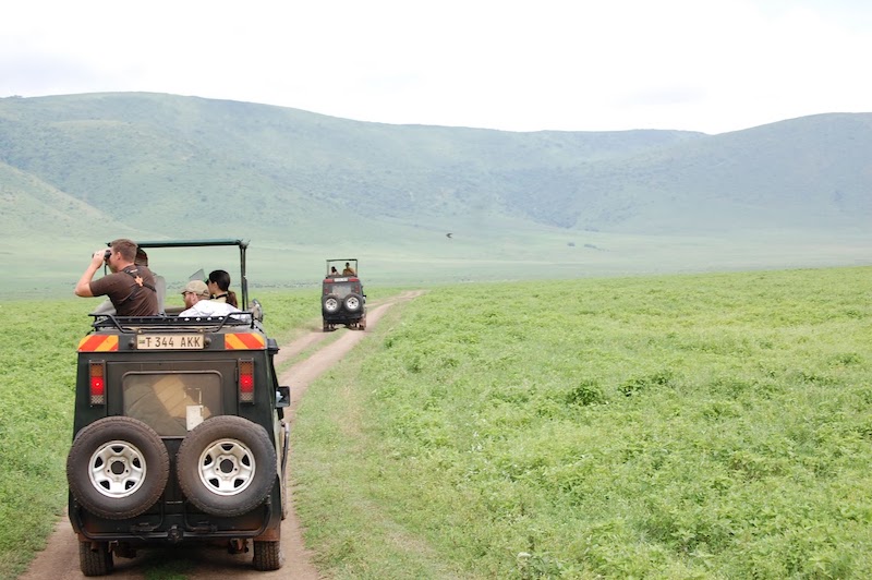“Every moment was special,” says Makenize Dowlin of the game drives she took during a study-abroad trip to Tanzania. “Every moment was special,” says Makenize Dowlin of the game drives she took during a study-abroad trip to Tanzania.