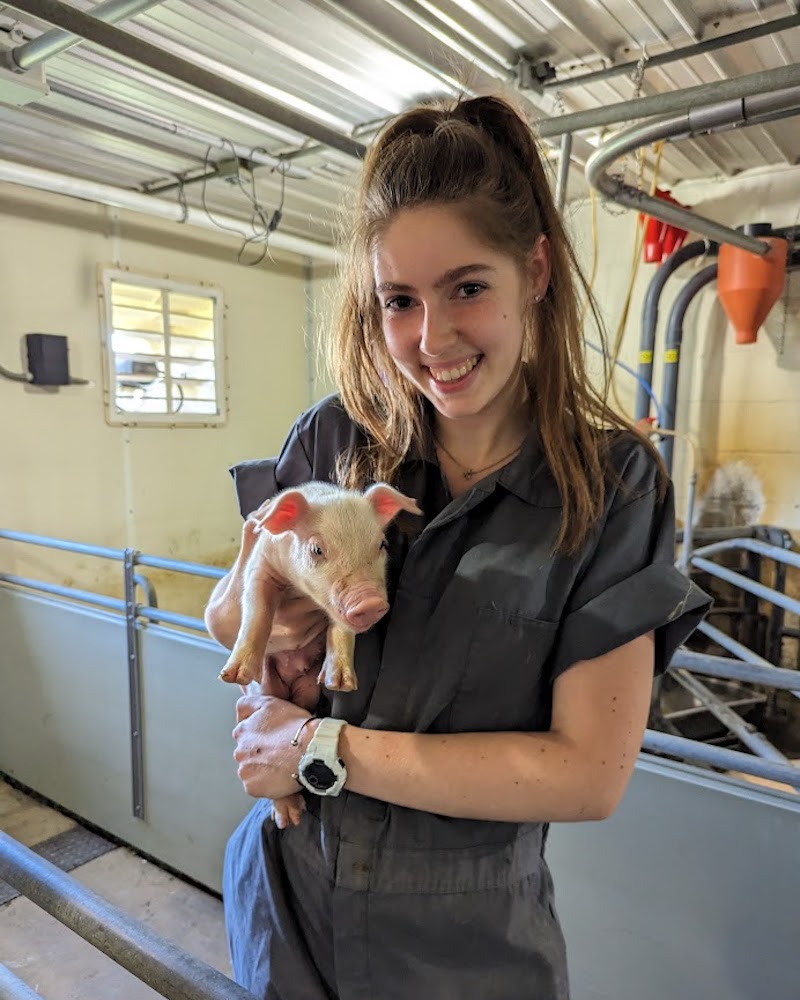 Pre-vet major Makenzie Dowlin worked at the gestation unit of a swine research and teaching center, where she conducted pregnancy checks, administered vaccines and enjoyed cuddles with piglets. Pre-vet major Makenzie Dowlin worked at the gestation unit of a swine research and teaching center, where she conducted pregnancy checks, administered vaccines and enjoyed cuddles with piglets.