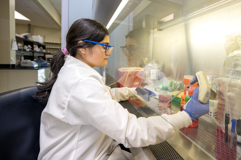 University of Delaware doctoral candidate Brigette Romero is part of the growing life sciences workforce. Romero is exploring the role of circular RNA in muscle development in cerebral palsy in UD molecular biologist Mona Batish’s lab at the Delaware Technology Park. Building this talent pipeline is critical to address societal needs, according to experts who spoke at Delaware’s DNA: Life Sciences Conference on May 8. University of Delaware doctoral candidate Brigette Romero is part of the growing life sciences workforce. Romero is exploring the role of circular RNA in muscle development in cerebral palsy in UD molecular biologist Mona Batish’s lab at the Delaware Technology Park. Building this talent pipeline is critical to address societal needs, according to experts who spoke at Delaware’s DNA: Life Sciences Conference on May 8.