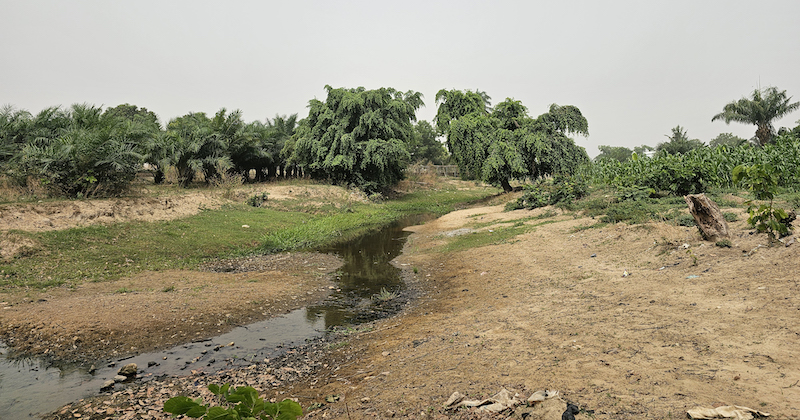 A new study from the University of Delaware examined irrigation in the Global South and found that dietary improvements vary depending on several factors, and the areas where irrigation expansion occurs do not automatically see an increase in food security simply because that area is growing more crops. The research was led by Piyush Mehta, who received his doctorate degree from UD in 2024, and Kyle Davis, assistant professor in the Department of Geography and Spatial Sciences and the Department of Plant and Soil Sciences and resident faculty at the UD Data Science Institute. This picture was taken during their dry season fieldwork in central Nigeria last March. A new study from the University of Delaware examined irrigation in the Global South and found that dietary improvements vary depending on several factors, and the areas where irrigation expansion occurs do not automatically see an increase in food security simply because that area is growing more crops. The research was led by Piyush Mehta, who received his doctorate degree from UD in 2024, and Kyle Davis, assistant professor in the Department of Geography and Spatial Sciences and the Department of Plant and Soil Sciences and resident faculty at the UD Data Science Institute. This picture was taken during their dry season fieldwork in central Nigeria last March.