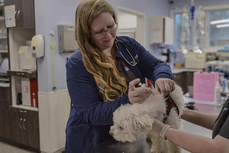 A Blue Hen with a big heart, Berkeridge established Cheyla’s Rescue Foundation to help unwanted pets. The rescue finds homes for hundreds of pets every year and is named after Cheyla, a pitbull Berkeridge spent 18 months rehabilitating.