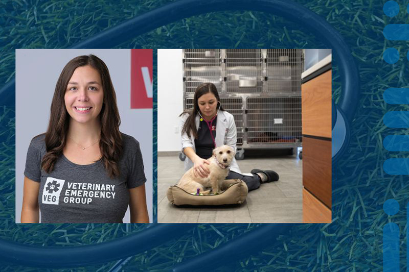 University of Delaware alumna Monica Sterk works as a regional medical director for Veterinary Emergency Group’s 20 hospitals in the northeast region. University of Delaware alumna Monica Sterk works as a regional medical director for Veterinary Emergency Group’s 20 hospitals in the northeast region.