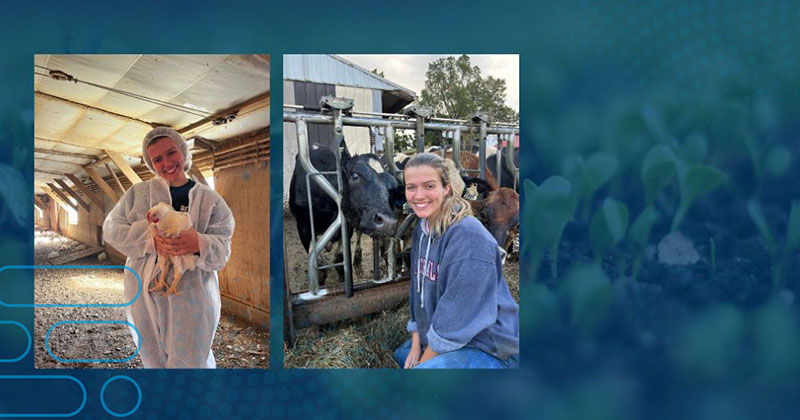 In UD’s agriculture and natural resources major, Kaitlyn Bradley combined her skill of connecting with farmers with pursuits in the livestock industry. In UD’s agriculture and natural resources major, Kaitlyn Bradley combined her skill of connecting with farmers with pursuits in the livestock industry.