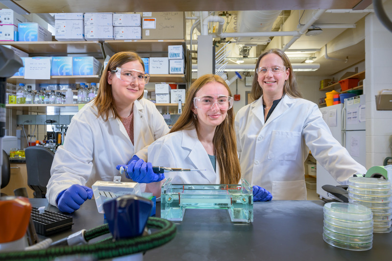 University of Delaware senior Sarah Garner (center) was the second author on a scientific paper published in April, based on her work as a research assistant in the lab of biology professor Molly Sutherland (right). Garner credits mentorship by doctoral student Alicia Kreiman (left) and Sutherland for her success. University of Delaware senior Sarah Garner (center) was the second author on a scientific paper published in April, based on her work as a research assistant in the lab of biology professor Molly Sutherland (right). Garner credits mentorship by doctoral student Alicia Kreiman (left) and Sutherland for her success.