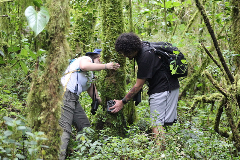 Luis Moreno installs a temporary camera trap to record wildlife during a four-week intensive, field-based experience in Costa Rica with the University of Delaware. Students quantified and compared the country’s rich biodiversity throughout multiple ecosystems. Luis Moreno installs a temporary camera trap to record wildlife during a four-week intensive, field-based experience in Costa Rica with the University of Delaware. Students quantified and compared the country’s rich biodiversity throughout multiple ecosystems.