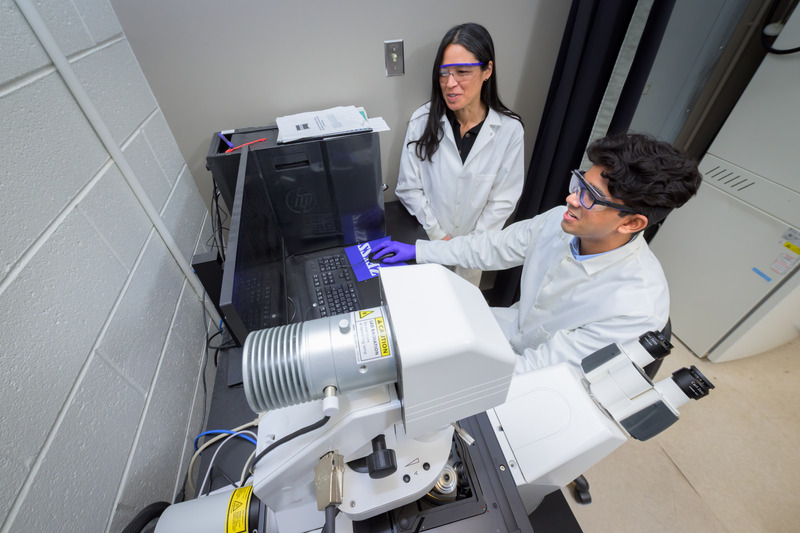 University of Delaware senior Altaf Bacchus works in the lab on his research, which involves evaluating the potential of gene therapy to improve wound healing. University of Delaware senior Altaf Bacchus works in the lab on his research, which involves evaluating the potential of gene therapy to improve wound healing.