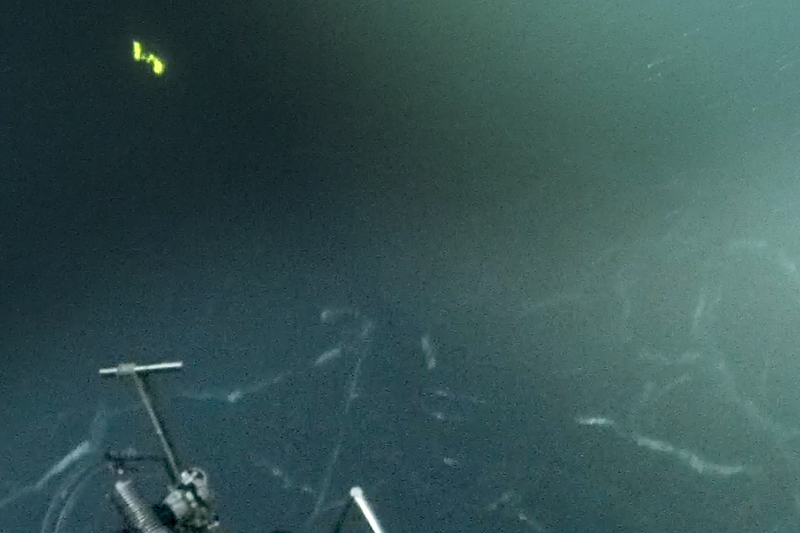 The team in the research submersible Alvin also saw flashes of molten lava appearing briefly before the near-freezing seawater caused it to harden. The team in the research submersible Alvin also saw flashes of molten lava appearing briefly before the near-freezing seawater caused it to harden.