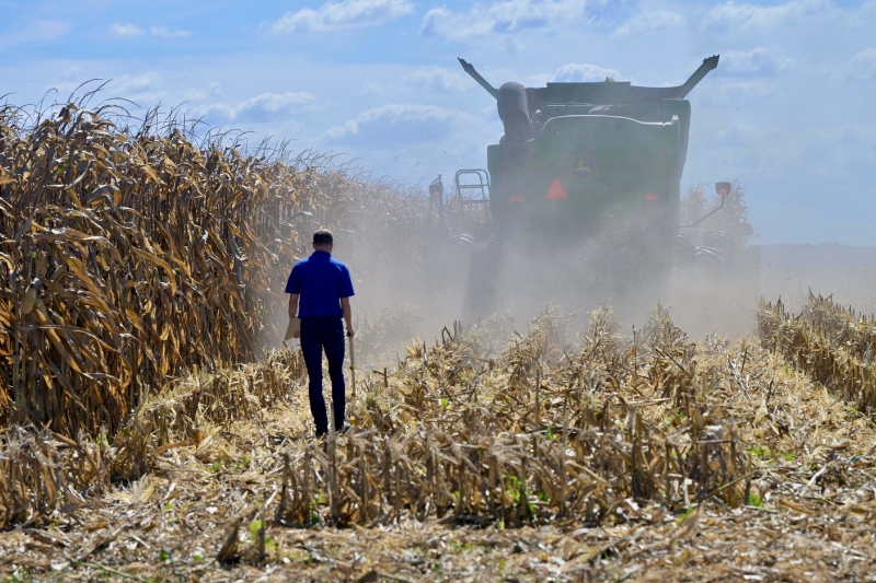 With his surveyor’s measuring wheel, Drew Harris walks behind a combine at work harvesting corn. Harris’s role as supervisor for the national corn yield contests requires him to witness the actual harvest, observe the weigh-in and verify the moisture content of the grain.