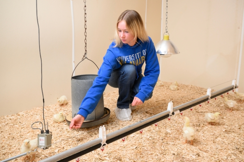 Creel has held multiple farm and policy internships, experiences in food marketing and agribusiness and a diverse courseload, positioning herself for a bright future in farm management.