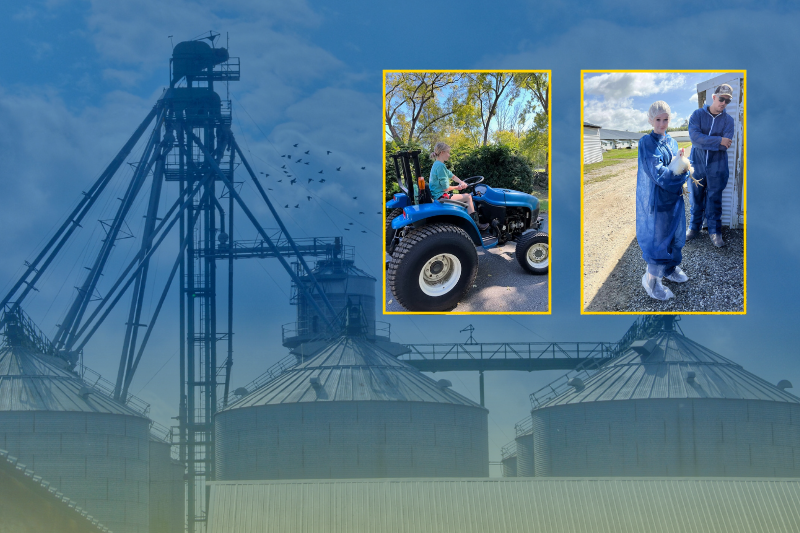 Agriculture and natural resources major Daisy Creel is a second-generation farmer on her family’s 23-acre honeybee farm in Brookeville, Maryland. Creel expands on her experience working with layer and broiler chickens and a hydroponic greenhouse growing many different varieties of lettuce and herbs on another small farm in Maryland.
