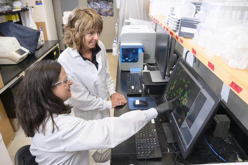 UD technology transfer expert Frances Galvin, from UD’s Office of Economic Innovation and Partnerships, has been instrumental in helping Fromen stay in touch with where her ideas have commercial market potential.