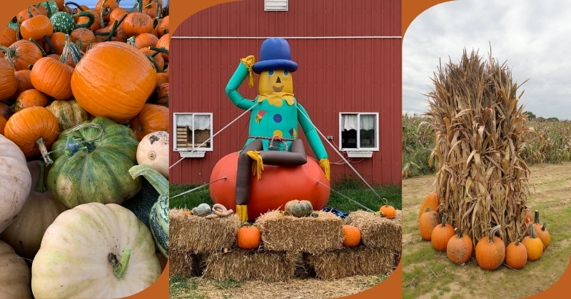 Investing in agritourism, especially autumn events including pumpkin patches, hayrides and inflatables, helped this small family farm succeed. Investing in agritourism, especially autumn events including pumpkin patches, hayrides and inflatables, helped this small family farm succeed.