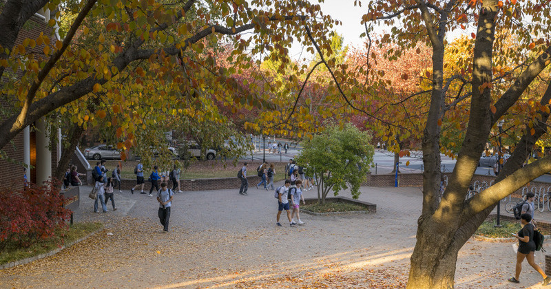 Fall campus beauty Fall campus beauty