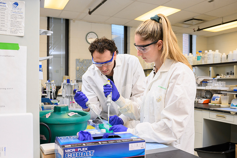 Biochemistry doctoral student Matthew Marino (L) and chemical biology doctoral candidate Amanda Sensi (R) are culturing cells as part of efforts to better understand Alzheimer’s disease. 