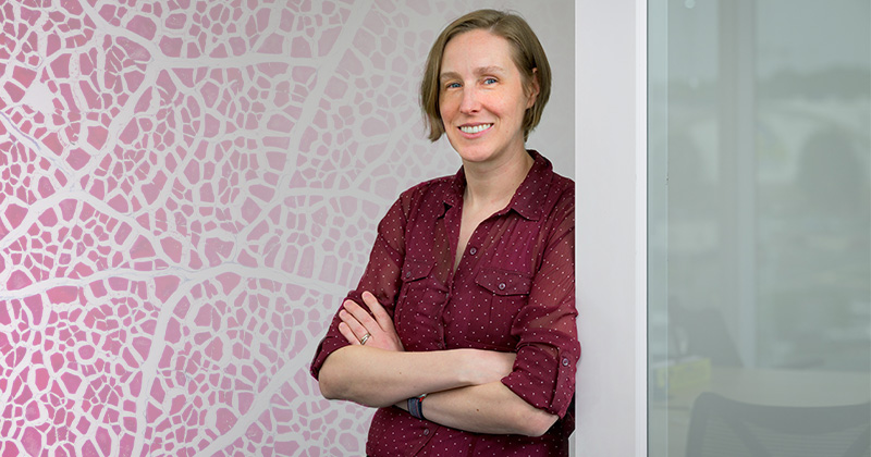 Elise Corbin, assistant professor of biomedical engineering at the University of Delaware, is working to uncover the ”push-pull” interactions between heart cells after a heart attack. These cells can stiffen and form scar tissue some distance from the heart attack site — a cascade that eventually can end in heart failure. Elise Corbin, assistant professor of biomedical engineering at the University of Delaware, is working to uncover the ”push-pull” interactions between heart cells after a heart attack. These cells can stiffen and form scar tissue some distance from the heart attack site — a cascade that eventually can end in heart failure.