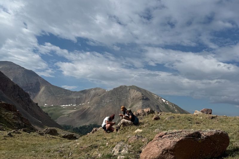 Fox worked with the Betty Ford Alpine Gardens conservation team trying to identify plants. Fox worked with the Betty Ford Alpine Gardens conservation team trying to identify plants.