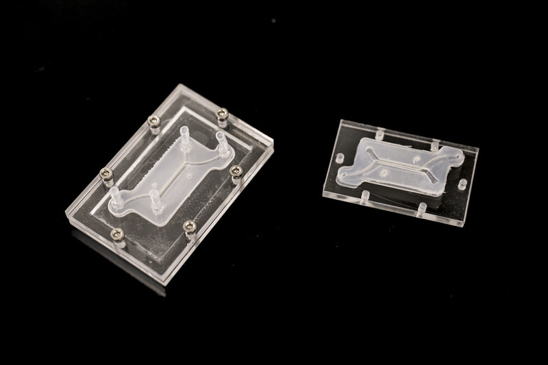 Microfluidic devices, like the one shown here developed at the University of Delaware by biomedical engineer Jason Gleghorn, hold the potential to help researchers develop and test promising treatment solutions for disease. Microfluidic devices, like the one shown here developed at the University of Delaware by biomedical engineer Jason Gleghorn, hold the potential to help researchers develop and test promising treatment solutions for disease.