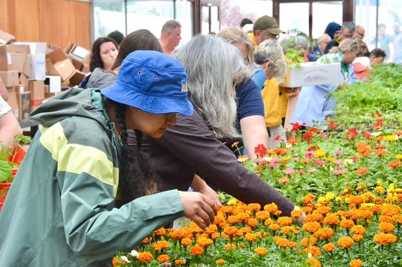 Browse a plant sale at Ag Day, hosted by University of Delaware Botanic Gardens.
