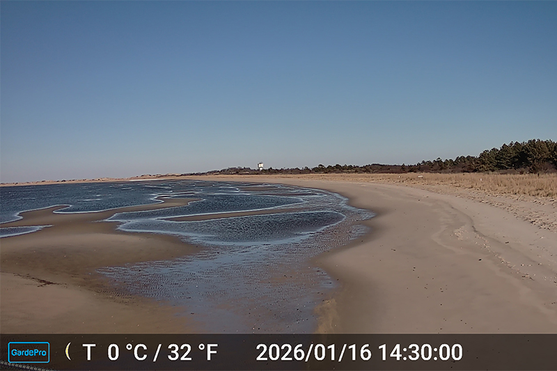 The cameras are placed at high vantage points, such as a homeowner's deck, the fishing pier at Cape Henlopen and the Indian River Inlet Bridge.
