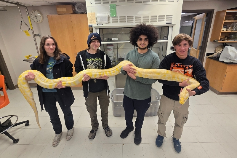 Students pose with an albino Burmese python, the world’s longest snake, during class. The class includes laboratory time where students work with live animals.