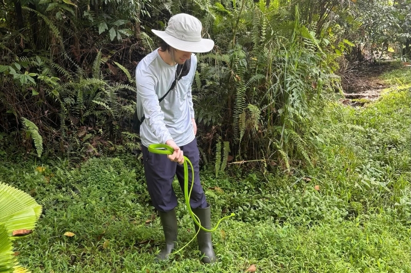 Norman Bucciero, a University of Delaware junior and vice president of the Delaware Herpetology Club, holds an oriental whipsnake he discovered during a UD study abroad program in Borneo.