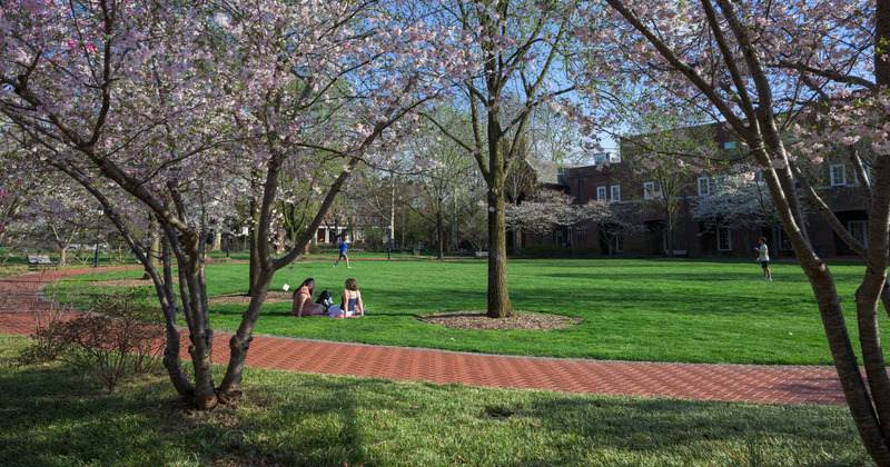 Spring campus scene