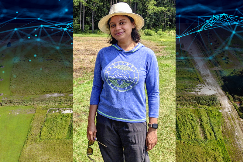 Pinki Mondal, associate professor of geological and spatial sciences at the University of Delaware, uses remote sensing to study the creeping reach of saltwater in Delaware, through seed funding from the Established Program to Stimulate Competitive Research (EPSCoR). Delaware EPSCoR and the Delaware IDeA Network of Biomedical Research Excellence (DE-INBRE) are programs that serve as “on ramps to bigger ideas, bolder collaborations and sustained research trajectories,” according to UD’s Fabrice Veron, interim vice president for research, scholarship and innovation.