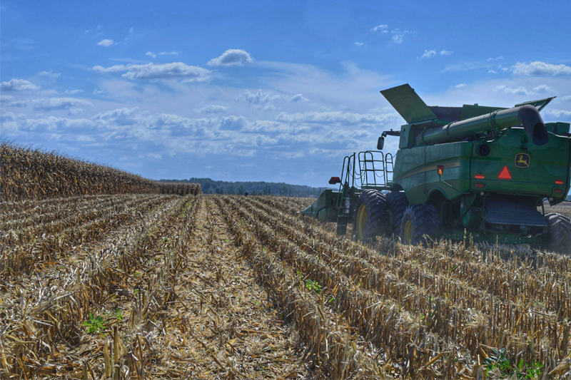 Delaware harvested 172,000 acres of corn in 2025, according to the USDA.