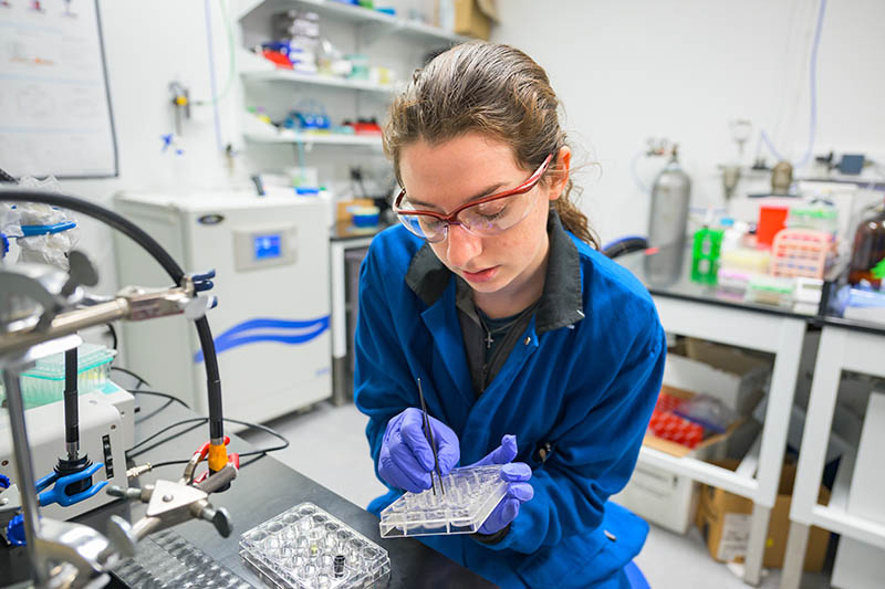 Samantha Swedzinski, a materials science and engineering doctoral student, received the Ignite Award as the judges’ choice for best presentation and the Glow Award as the audience choice.