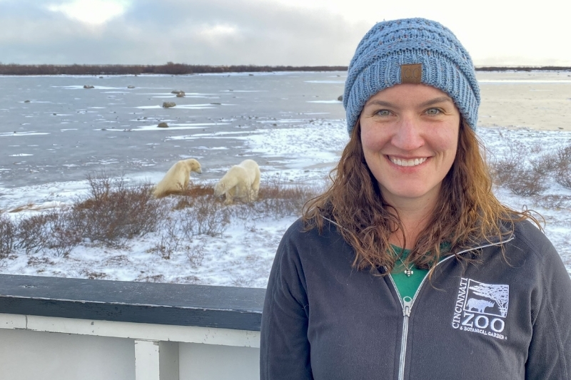 University of Delaware alumna Erin Curry hosts a tour of Churchill, Manitoba, for the Cincinnati Zoo and Botanical Garden. The Canadian town is known as the polar bear capital of the world. Every summer, close to one thousand polar bears migrate to the area to wait for sea ice to form in Hudson Bay. 