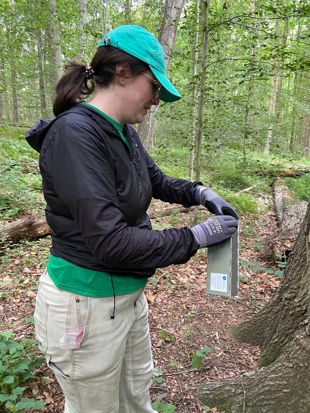 Madeline Brown, a graduate student and a member of UD's Disease Ecology Lab, checks a mouse trap as part of her research on Tick Tubes. Brown leads a team of student-interns for the VectorED Network, a Vector-borne Disease Training and Evaluation Center serving the Mid-Atlantic and Ohio River Valley. 