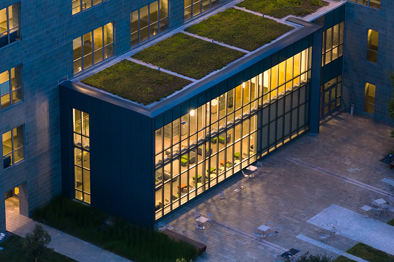 From green roofs and native tree plantings to recycling efforts across campus, the University’s green actions have earned a Silver rating.