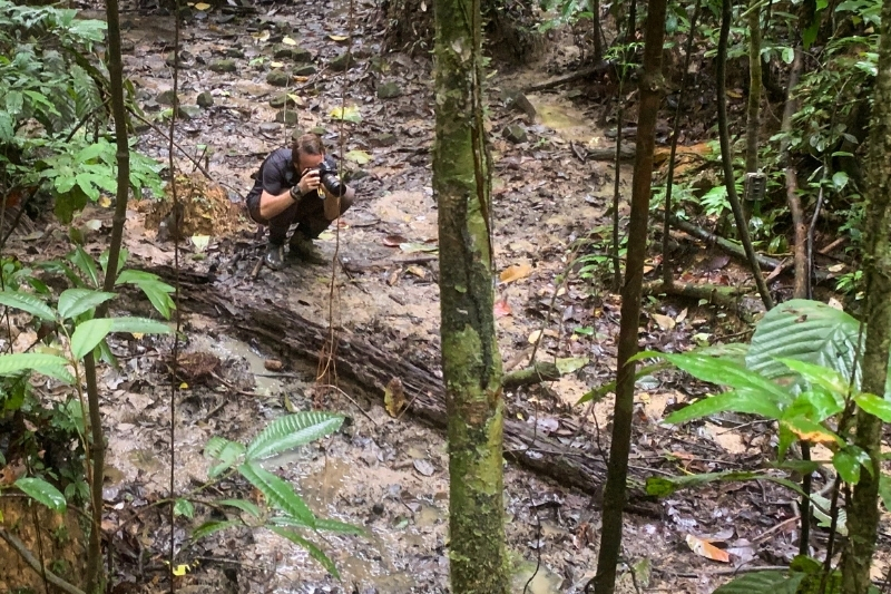 Griffiths photographs the topography of a mineral lick deep in the forests of Maijuna lands, where animals visit to consume soil. 