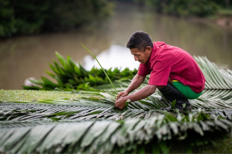 Maijuna elder Marcos Rios weaves the peak of a thatched roof for Griffiths’ house out of palm leaves. 