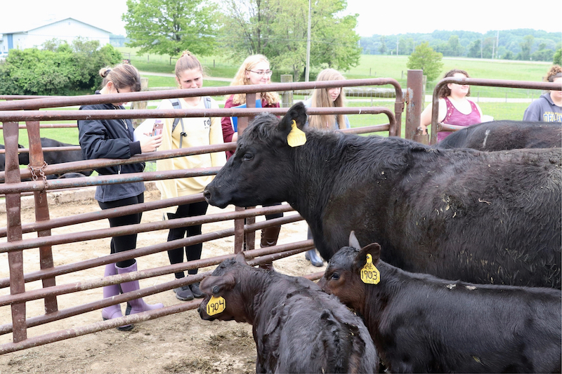 CANR’s registered Angus cattle herd provides hands-on learning opportunities to students starting in their first year. Byrne sees supporting agricultural education programs as essential for the future of American farming.