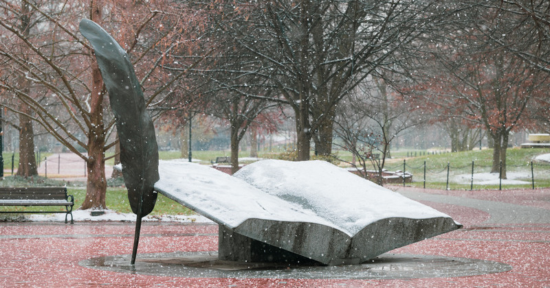 "Wings of Thought" in Mentors' Circle
