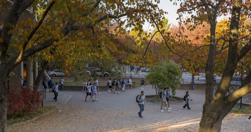 Students walking on campus