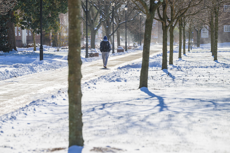 A University of Delaware student walks a shoveled path on the South Green of UD’s Newark Campus following a winter storm in January 2025.