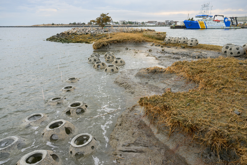 Due to sea-level rise and increased stormwater runoff, a peninsula on UD’s Lewes campus is turning into a fragmented island. One of the hopes is that the living shoreline will help protect critical infrastructure, like the R/V Hugh R. Sharp (pictured in the background) in the UD boat basin.