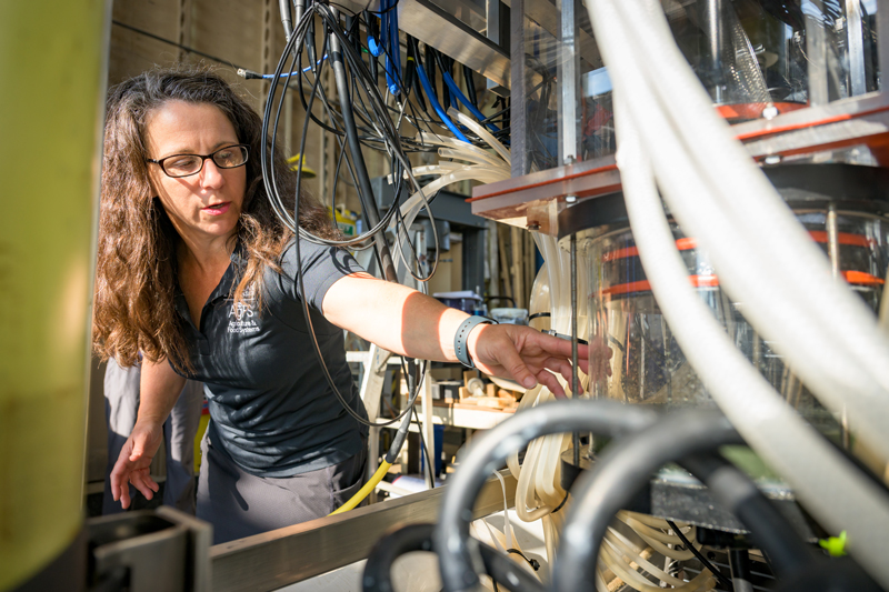 Lansing checks the PODPower before its launch. The device is fueled by microbes that are able to use ocean carbon to create electricity. PODPower harnesses that electricity to activate and charge various sensors and other research devices in the ocean.