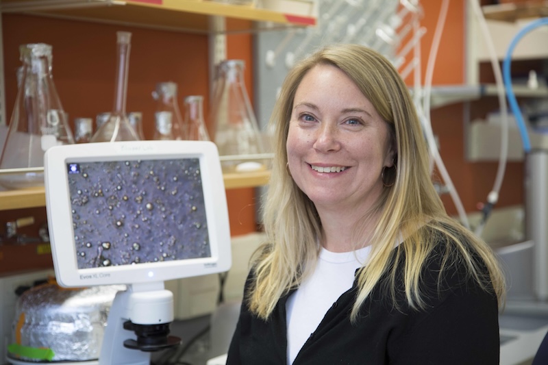 Rebecca Klaper’s appointment as Dean of UD’s College of Earth, Ocean and Environment begins Sept. 1, 2026.