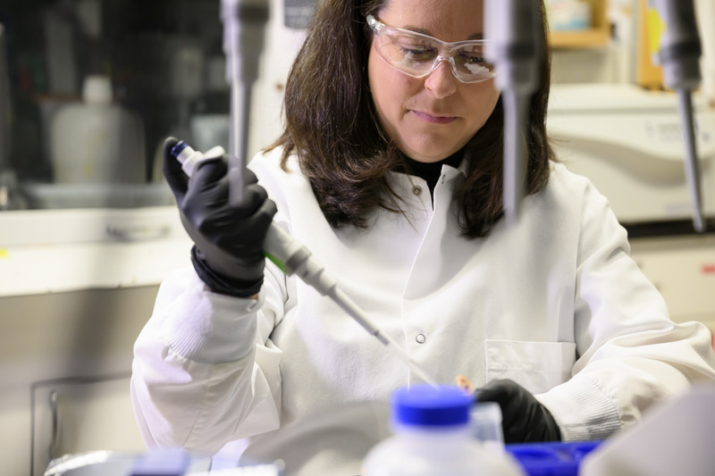 Catherine Fromen, Centennial Term Professor for Excellence in Research and Education